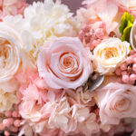 Thumbnail of new posts 137
